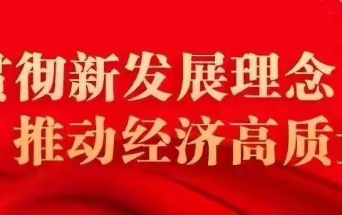 心有翎兮身有才，娄底有一群可爱的职教人、追梦人