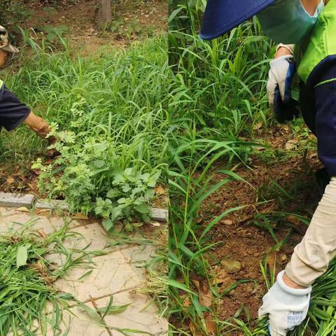 【康都物业】河务局片区云驰山庄项目