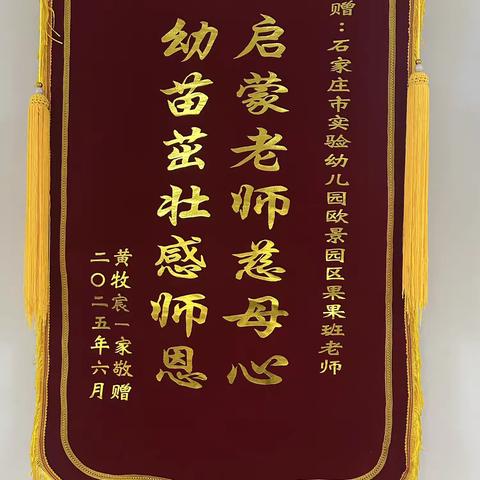 锦旗载心意 师恩润童心