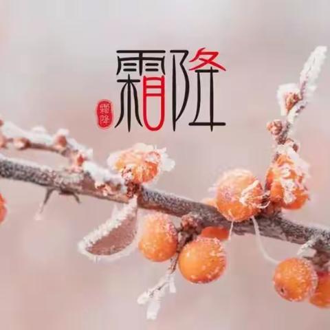 二十四节气·霜降节气（下）——龙马希望小学家校共育每周一读第四期