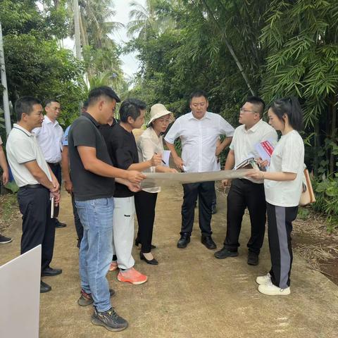 琼山区委书记陈昊旻深入云龙镇调研和美乡村示范村建设、区级现代农业产业园建设等重点工作