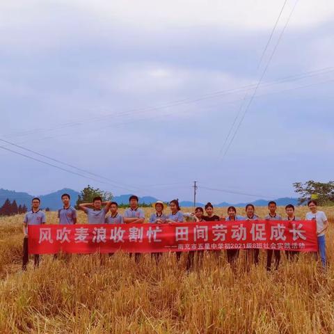 风吹麦浪收割忙，田间劳动促成长