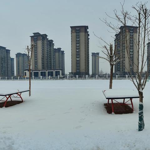 瑞雪满校园·扫雪暖心田 ——五小扫雪记