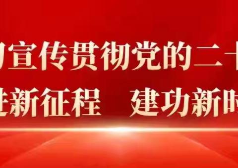 “小扫帚、大环境”磁州镇全民参与农村人居环境整治行动