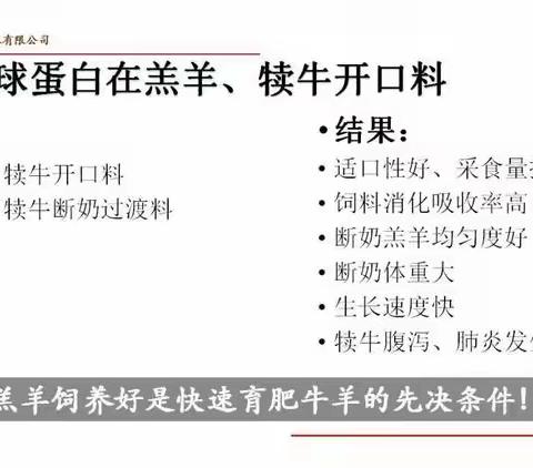 新邦农牧有限公司