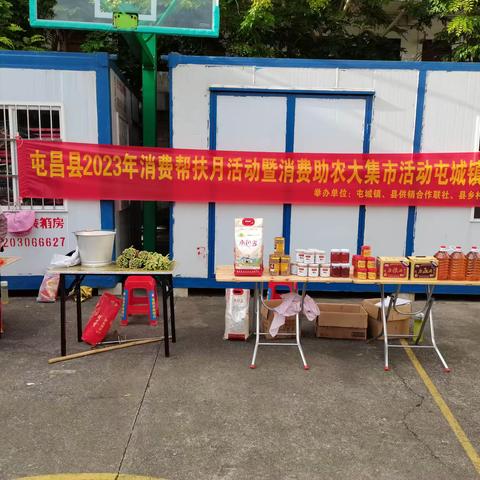 屯昌多镇开展屯昌县2023年消费帮扶月活动镇级消费助农集市专场活动