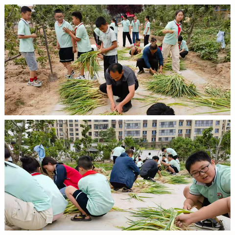 躬耕实践，以劳育德 ——单县慧光学校劳动实践活动