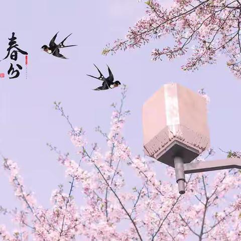 春分至—燕归来