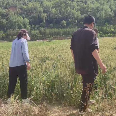 2026.06网格员工作简报1