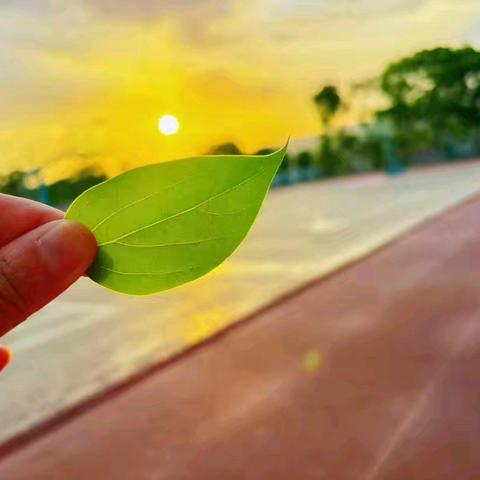 【堡小•值周】春风暖四月，书香润童年——堡子镇小学第九周值周周记