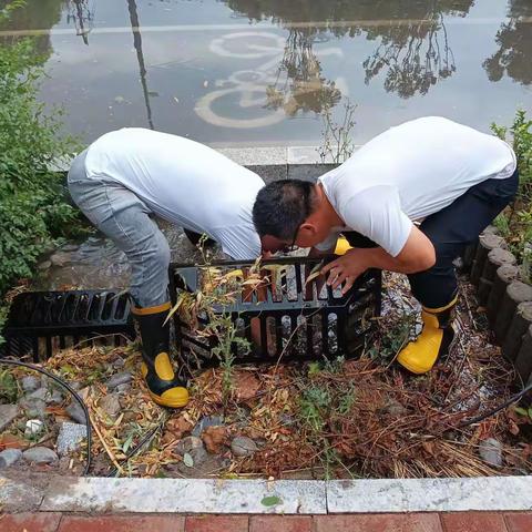 鹤壁经济技术开发区：龙岗街道天赉社区“闻汛而动，逆水而行”