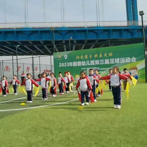 热烈祝贺蔚蔚幼儿园第三届足球运动会圆满结