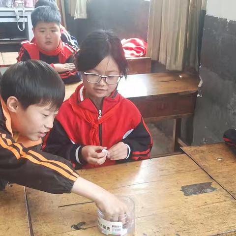 兰陵镇横山小学数学学习场景掠影