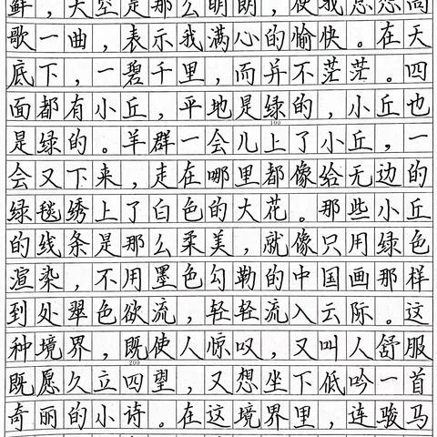 惠州大亚湾经济技术开发区京师实验学校六年级练字周一二等奖展示