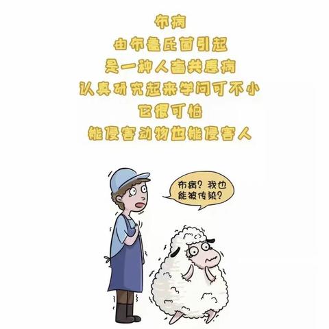 中宁六中——布病防控知识要点