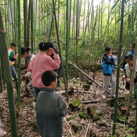 【红色茅小党建+德育】“竹”够有趣——五（6）班班级特色活动