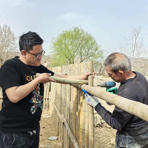 [“双争”进行时][身边榜样]归雁人才报桑梓 乡村振兴添活力——贾庄镇归雁人才王雷