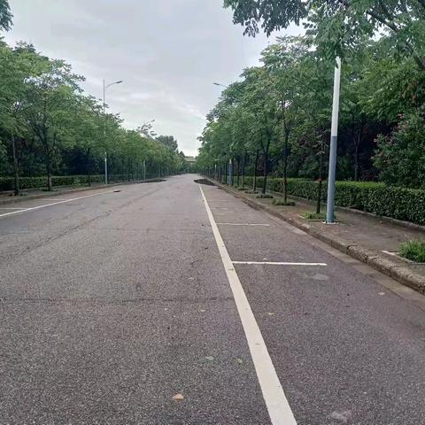 隔不断的思恋