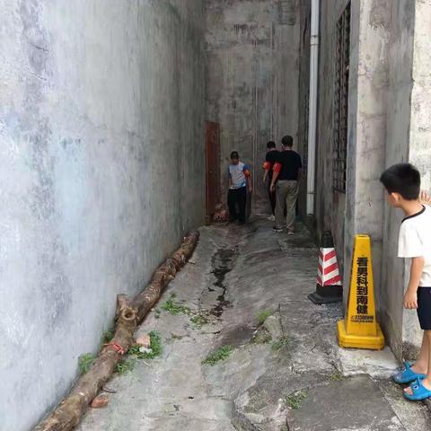 那大镇那恁村委会开展“巩卫”环境卫生整治活动