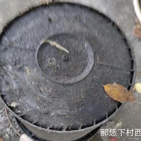 那大镇那恁村委会开展“巩卫”卫生整治工作