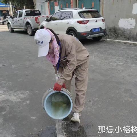 那大镇那恁村委会开展“巩卫”卫生整治工作