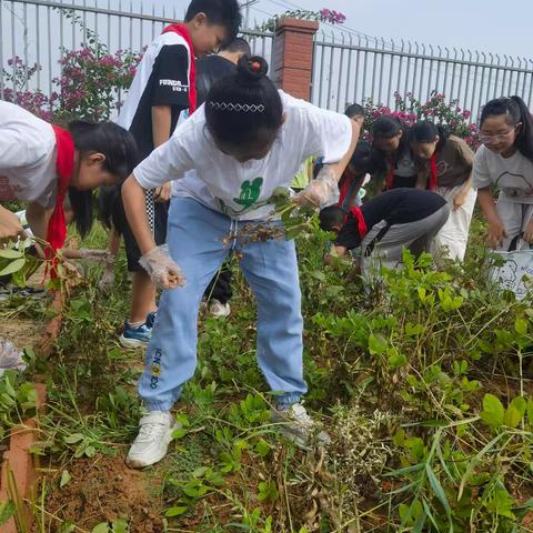 我们的“收获节”