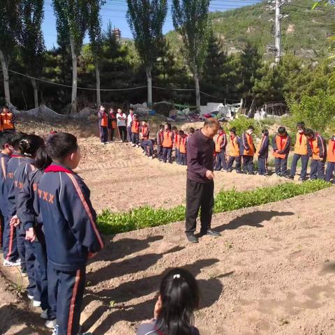 感受初夏田园，体验劳动乐趣——兴县实验小学开展劳动教育实践活动
