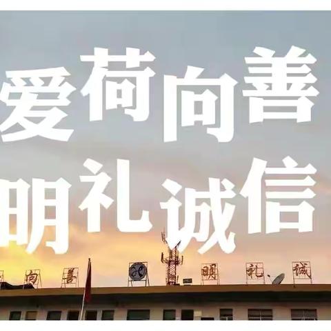 班级文化展风采，教室布置显匠心——2025年春季荷湖学校小学部班级文化布置评比活动
