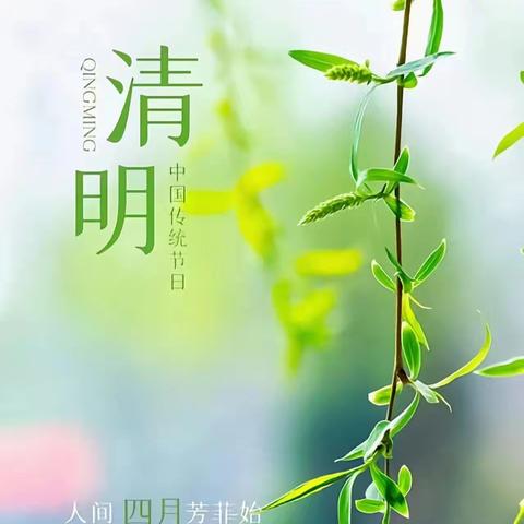 清明寄思，童心传承——七里头小学清明节主题活动