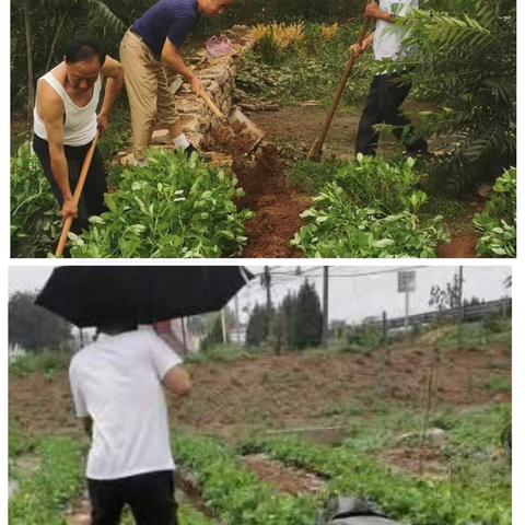 【服务“灵”距离 移民乐融融】雨中守护显担当 筑牢防汛“安全墙”