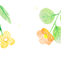 【凝心聚力 迎风启航】包头师范学院教育科学学院小学教育专业