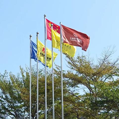 三叶农场一中八一届高中毕业四十五周年同学聚会