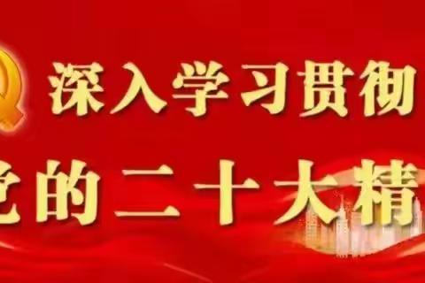 四十里铺镇郿岘村工作掠影