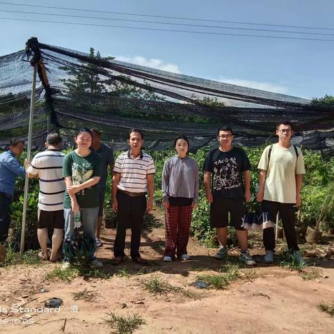 儋州市农林科学院派技术人员到两院品茂苗圃基地进行产地检疫