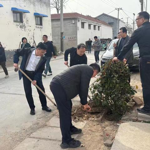 大流乡开展2025年春季义务植树活动