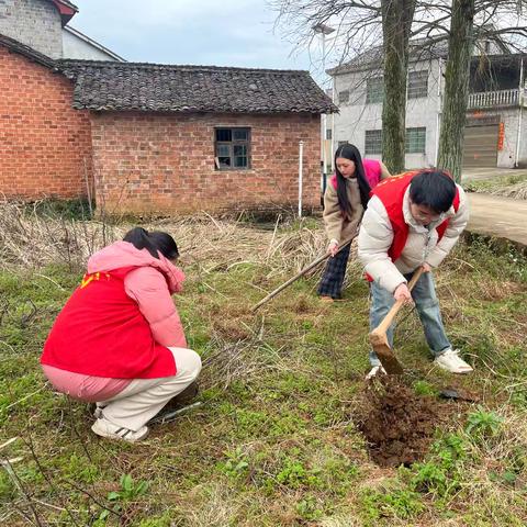 传承雷锋精神，共植希望之树