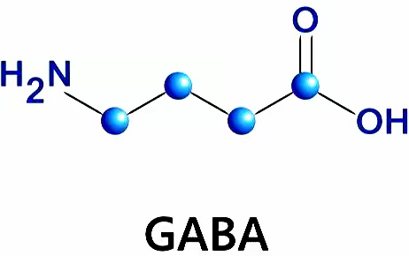 γ-氨基丁酸：一种天然的抗焦虑良方