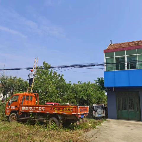 金口镇8月份线缆整治报道