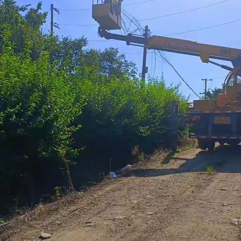 金口镇继续推进线缆整治