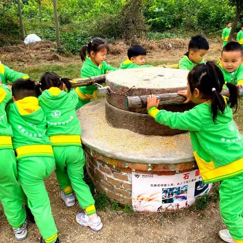 康乐迪幼儿园邂逅春天研学活动