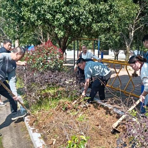 安和镇冠英初中党支部开展植树主题党日活动
