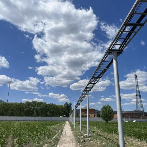 2023年6月第四周纪实
