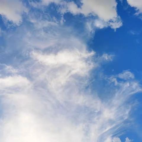 “立足平凡岗位,绽放人生光彩”