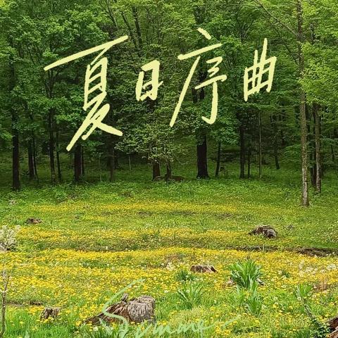 “郊游踏青，赏家乡美景；愉悦身心，创明日辉煌”——黄松甸九年制学校教职工初夏郊游日记