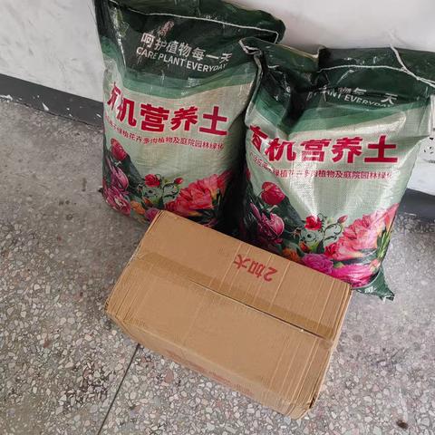 记上犹五小二（1）班的劳动实践课——我说了“蒜”