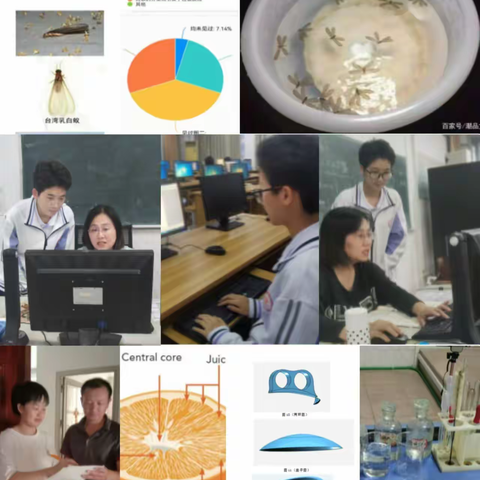 “科学筑梦，创新未来” 论文比赛佳绩揭晓