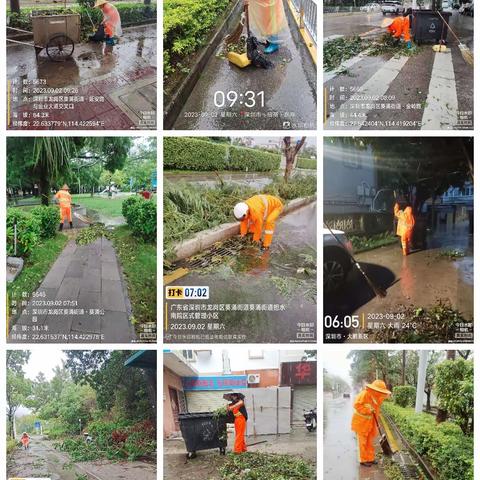 葵涌中心区台风后工作照