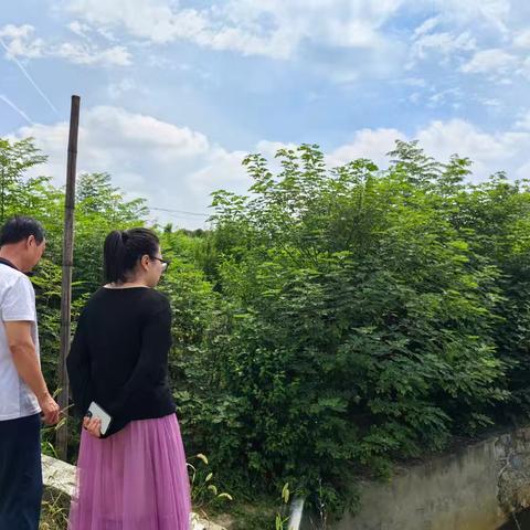 南阳市生态环境局内乡分局“三步走”深入推进入河排污口排查整治工作