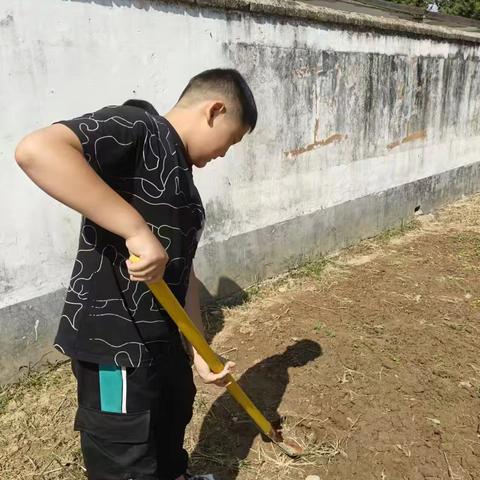 躬耕实践，以劳育德——遂平县文城乡上仓学校劳动实践活动