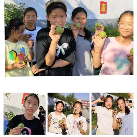 齐心“核”力，欢乐"桃桃" ——酒务小学采摘核桃精彩掠影
